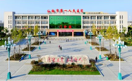 仙桃市第一人民医院多次采购蜜桃视频APP下载全自动白带蜜桃视频在线观看免费