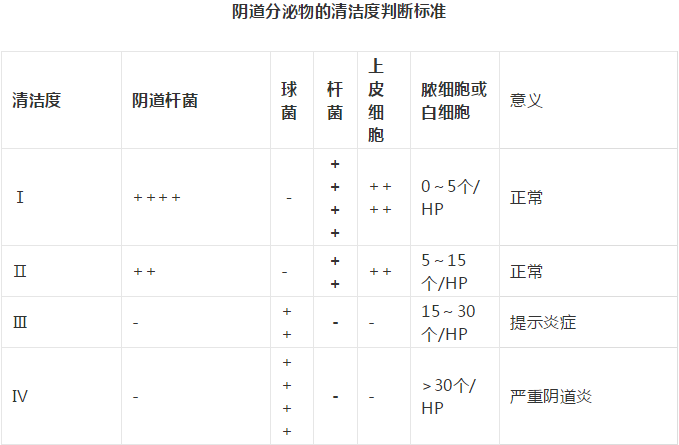 全自动阴道分泌物蜜桃视频在线观看免费剖析阴道分泌物的洁净度规范
