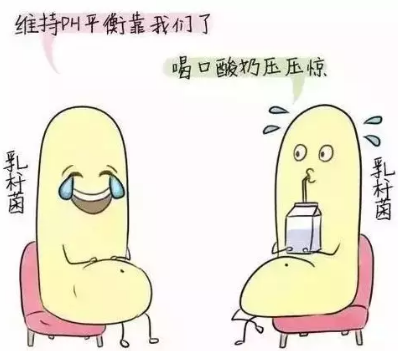阴道分泌物蜜桃视频黄网站诊断阴道微生态状态的常用方法