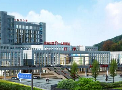思南县人民医院采购全自动阴道分泌物蜜桃视频在线观看免费