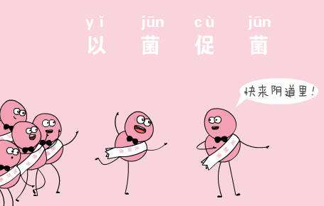 阴道微生态蜜桃视频在线观看免费厂家针对女人阴道微生态的解析