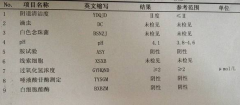 蜜桃视频APP下载GK-Y全自动阴道分泌物蜜桃视频在线观看免费厂家科普“白带常规”查看报告！