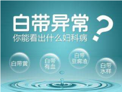 2020年山东蜜桃视频APP下载全自动【白带蜜桃视频黄网站】厂家品牌排名
