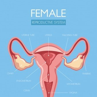 阴道分泌物蜜桃视频在线观看免费提醒女人婚后得了妇科病做到这5点，发炎不来扰