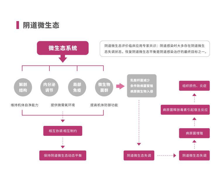 全自动阴道炎蜜桃视频在线观看免费LTS-V400阴道微生态系统