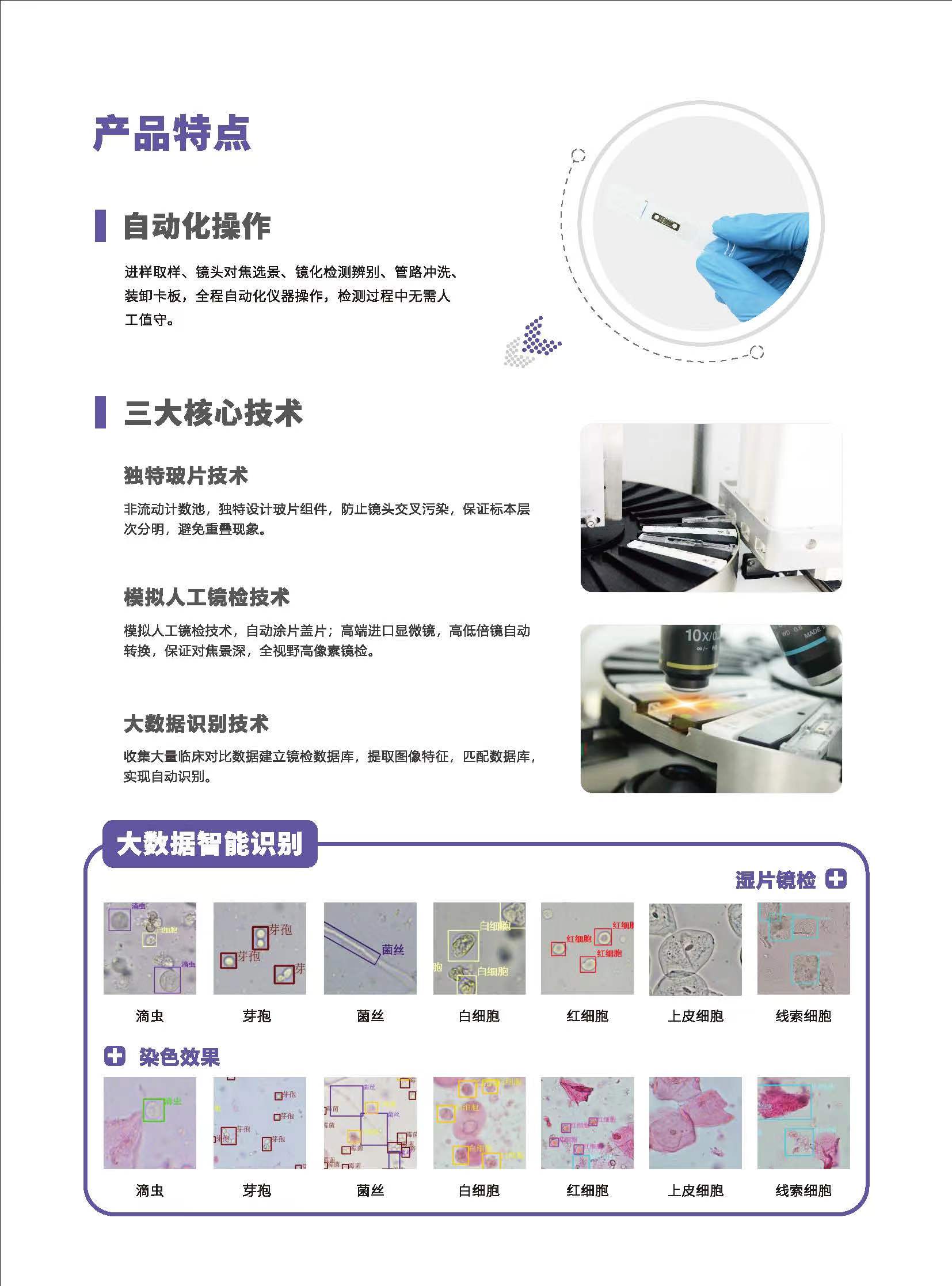 阴道分泌物蜜桃视频黄网站V800产品特点