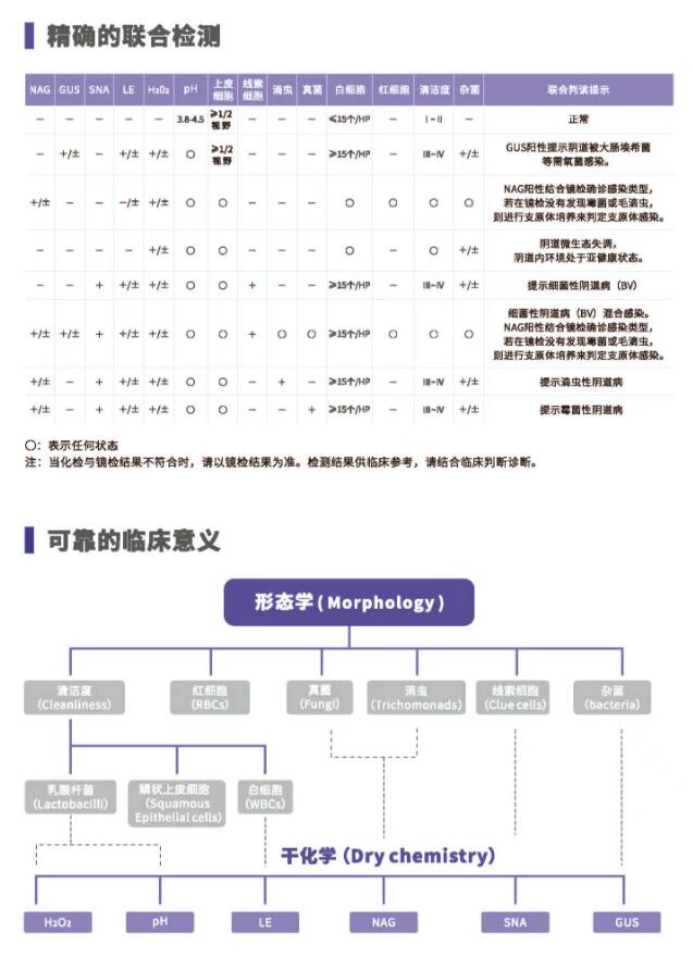 阴道分泌物蜜桃视频黄网站V800精确的联合检测
