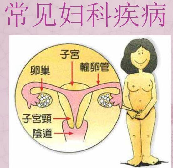 医院全自动白带蜜桃视频黄网站检测女人妇科3种症状，谨防子宫长瘤！