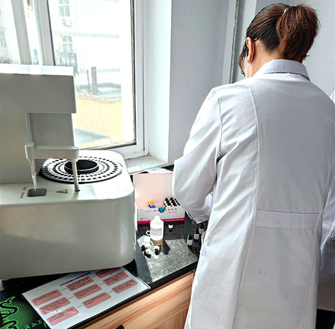 全自动生殖道分泌物蜜桃视频在线观看免费在宕昌县疾病预防控制中心完成装机
