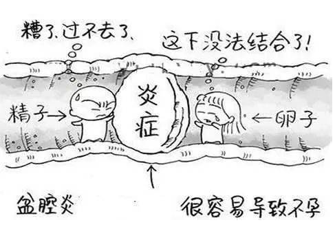 全自动妇科阴道分泌物蜜桃视频黄网站检测辨别妇科炎症复杂多样！