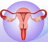 妇科阴道炎蜜桃视频在线观看免费器厂家提醒女性坚持泡水喝，消炎灭菌，远离妇科炎症