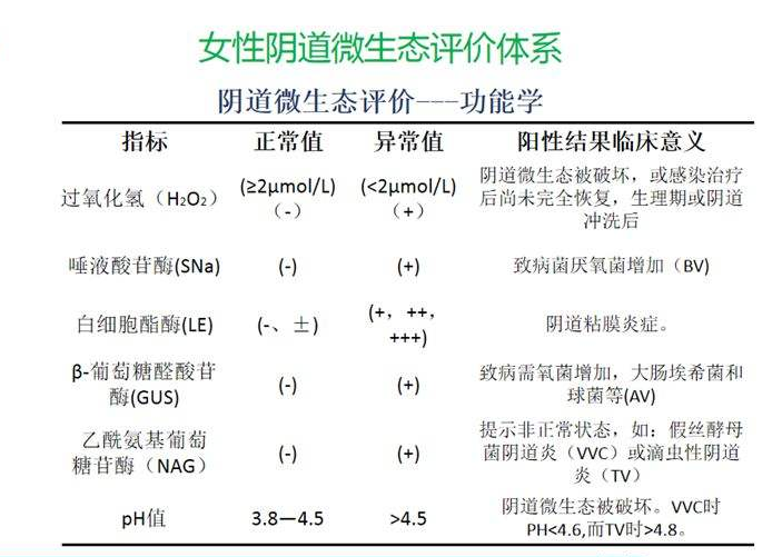 妇科微生态蜜桃视频在线观看免费器